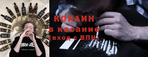 сатива Белокуриха