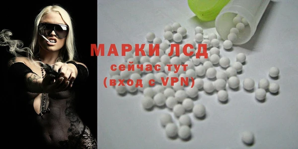сатива Белокуриха
