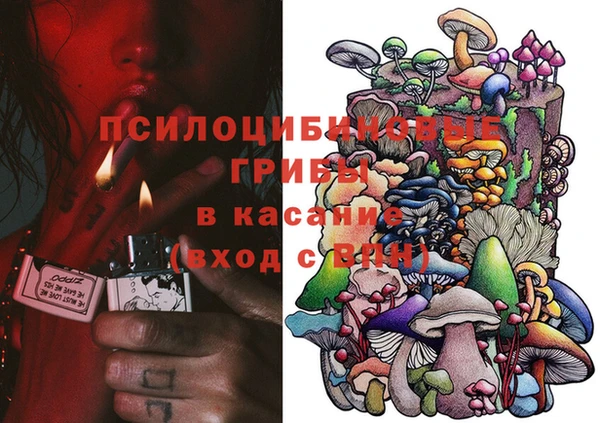 соль ск Ростов