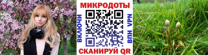 Псилоцибиновые грибы мухоморы  Нерчинск 